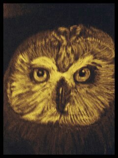 HowlettEd's profile picture. Part time artist.