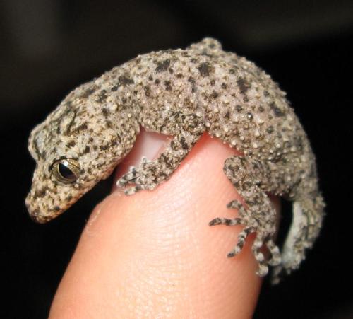 _jobobo_'s profile picture. 