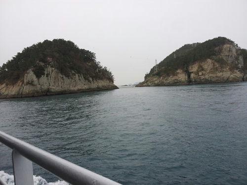 minipig2013's profile picture. 파랑새를 찾다