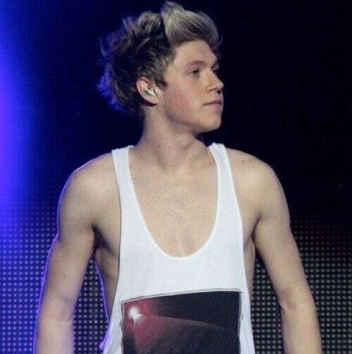 Another teenage girl that likes one direction whats else is new?