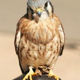 ValkHRMsolution's profile picture. 