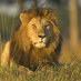 Siddharth (@c360film) Twitter profile photo Siddharth (@c360film) Twitter profile photo