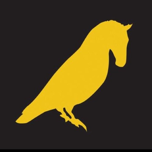 TheHorsebird's profile picture. In hibernation