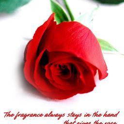 bibsaid's profile picture. 