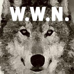 Nieuws en actualiteiten over de komst van de wolf naar Nederland en buurlanden.