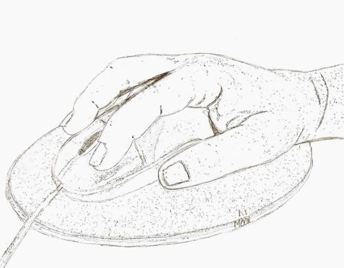 NxLogistic's profile picture. Ciudadano del mundo