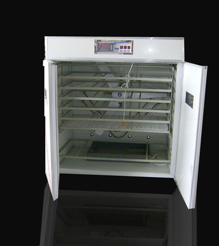 eggsincubator's profile picture. This is a place where you can find your wanted egg incubators, fully automatic, excellent quality but favourable price, just come to get your incubator