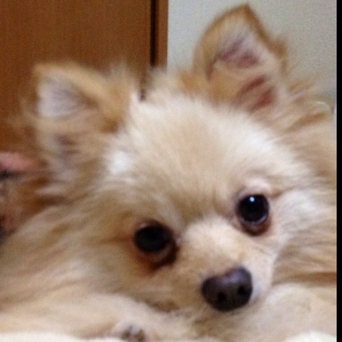 yoguru2's profile picture. 