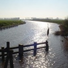 Sloeproei's profile picture. Het officiële twitter account van Sloeproeien Reitdiep, Van Wad noar Stad, Nu de sloep nog stem op ons| http://t.co/tzgyaZkEAX