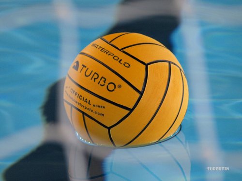 Director Deportivo CN Askartza. Entrenador Primer Equipo CN Askartza Primera Nacional Masculina.