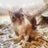 Aosanmini's profile image
