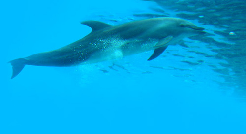 micoeco07's profile picture. 