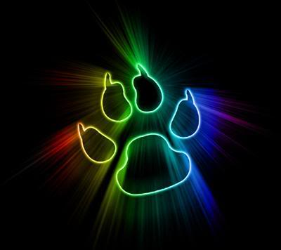 sala7deen's profile picture. 