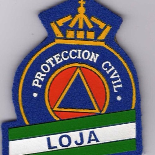 protecc36003781's profile picture. 