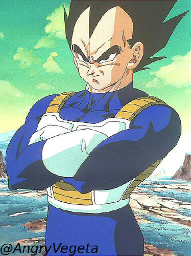 AngryVegeta's profile picture. If the prince wants to climb, the King has to fall. Wife; @Bulmabriefsdbgt Son;@iiFutureTrunks daugthers; @ItsBulla, @LilJackiebriefs, @MiraiBriefs