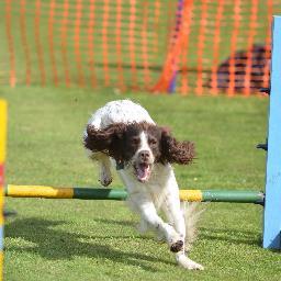 PaulaEdmundson's profile picture. Framlingham Country Show
13th and 14th April
Tradestands, Sheep Racing, Geese herding, Dog Agility, Falconry, Stunt Plane, Helicopter Rides and so much more.
