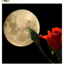 ٱٱٲعشق♥الصمت (@000Lamor) Twitter