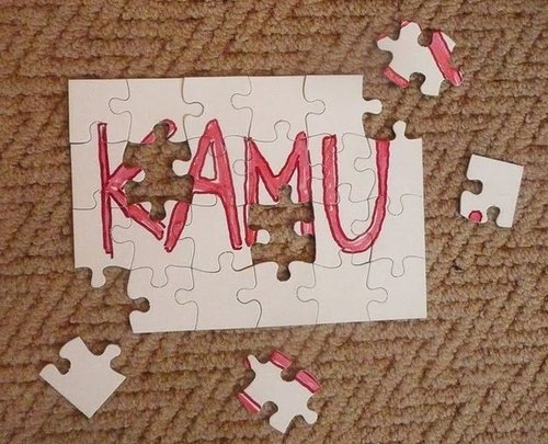 Kamu