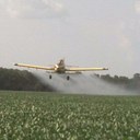 Donna Meredith - @dhmered - Twitter