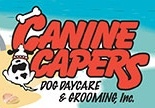 Dog daycare for all breeds and sizes. Full service grooming, FUN & CARE WHEN YOU'RE NOT THERE!!