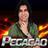 PegacaoSelecta's profile image