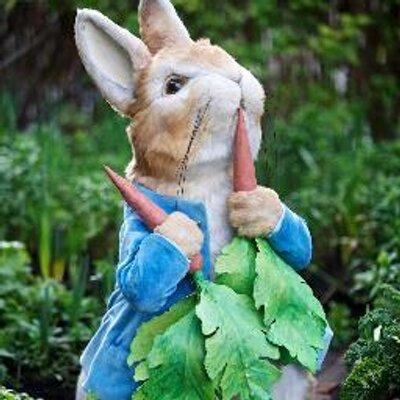 Peter Rabbit on Twitter: "“I remember I used to half believe and wholly