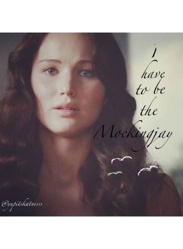 xtributegirl's profile picture. HUNGER GAMES // FOLLOW BACK! want a sugarcube? proud to be a FAN :) RUE RIP.