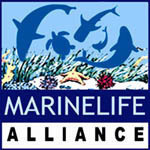 Marine megafauna study and conservation initiative of Marinelife Alliance, to strengthen networking among scientists and citizens round the world.