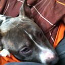 Bradley Meredith - @94Vtec - Twitter