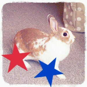 whrscl's profile picture. うさぎのさなと暮らしてます♡*