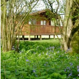 Award winning 2 & 3 bedroom, 2 bathroom, five star, Norwegian log cabins. Set in the heart of ancient woodland, on the outskirts of the historic city Winchester