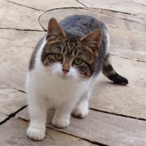 Im feral, dont judge me....