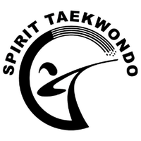 Spirit Taekwondo (@spirittkd_edm) 's Twitter Profile
