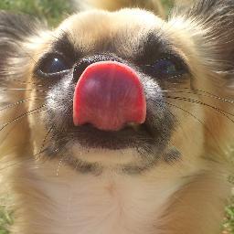 DaraKapriinov's profile picture. :D ♥