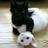 AlisaiN4048's profile image