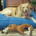 Vicky Rush - @RushFurniture - Twitter