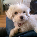 Steve Humphrey - @SteveHumphrey1 - Twitter