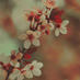 Deem (@_deemabdullah) Twitter profile photo