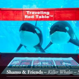 GetPreparedCA's profile picture. The American Red Cross and California Earthquake Authority have joined forces to get you better prepared to survive and recover from CA's next damaging quake.