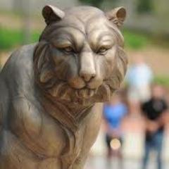 We aim to make the Clemson University Academic Integrity Policy easier to understand and ALL INtegrity an ideal all students at Clemson are proud to support.