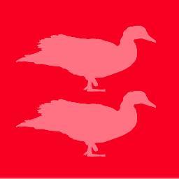 BitingduckPress's profile picture. An independent book publisher specializing in fiction and non-fiction by, for, and about science