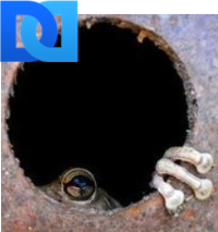 Baremid's profile picture. Stop separating us by ethnicity, gender, religion, education, social position. Rejoice in diversity. Small minds have narrow focus. #StrongerTogether #UniteBlue