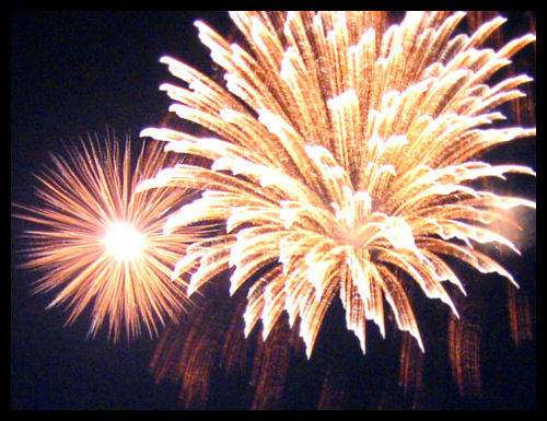 humandev6661's profile picture. 