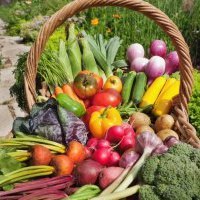 If you are having trouble starting your own backyard vegetable and herb gardens and need a little one-on-one help , this is a service for you!