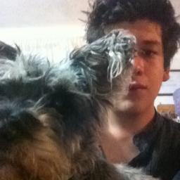 elmemob's profile picture. 