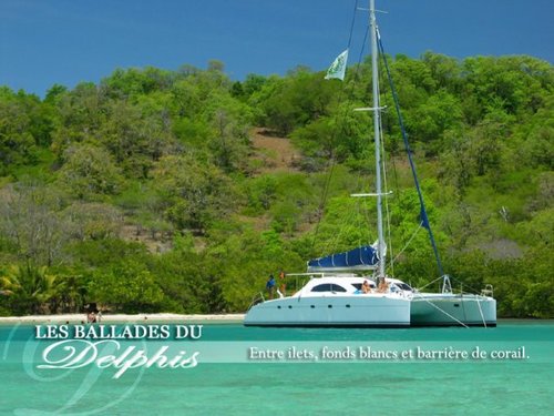 catadelphis's profile picture. Amateur de journées en mer, les catamarans Delphis sont là pour vous !