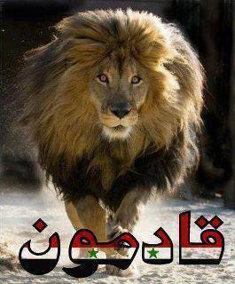 swaidaalasad's profile picture. وطن شرف اخلاص