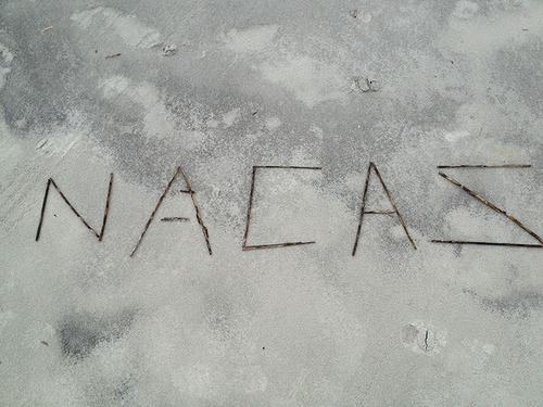 NACAS South represents Texas, Mississippi, Louisiana, Alabama, Florida, Georgia, South Carolina, North Carolina, Tennessee and Kentucky. We are Auxiliaries!