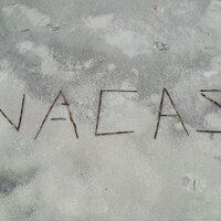 NACAS South (@nacas_south) Twitter profile photo