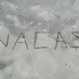 NACAS South (@nacas_south) Twitter profile photo NACAS South (@nacas_south) Twitter profile photo